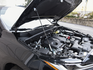 2022款2.0L CVT两驱尊贵版 其它