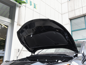 2022款2.0L CVT两驱尊贵版 发动机舱隔音棉