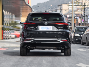 2022款2.0L CVT两驱尊贵版 正后	
