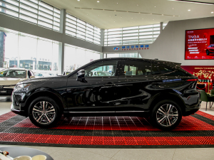 2022款2.0L CVT两驱豪华版 正侧（左）