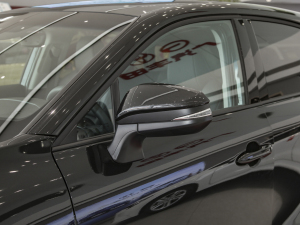 2022款2.0L CVT两驱豪华版 后视镜