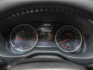 2022款2.0L CVT两驱豪华PLUS版 仪表