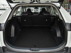 20222.0L CVT(q)APLUS g