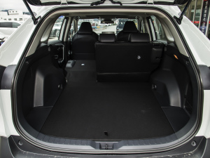 20222.0L CVT(q)APLUS g