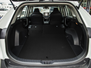 20222.0L CVT(q)APLUS g