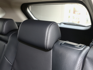 20222.0L CVT(q)APLUS g