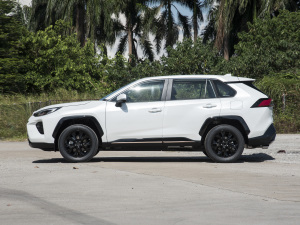 2022款2.0L CVT两驱骑士版 正侧（左）