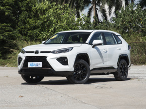 2022款2.0L CVT两驱骑士版 左前45度