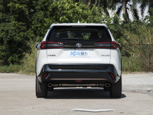 2022款2.0L CVT两驱骑士版 正后	