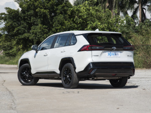 2022款2.0L CVT两驱骑士版 左后45度