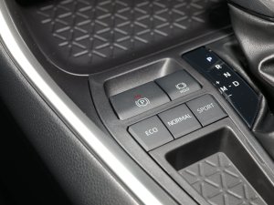 2022Ŀ 2.0L CVTIȰ v܇Ƅ