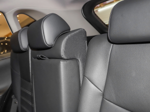 2022p 2.5L E-CVT(q)A g