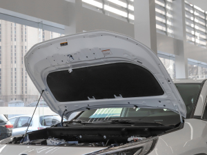 2022p 2.5L E-CVT(q)F l(f)(dng)C(j)œ