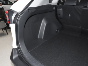 2022p 2.5L E-CVT(q)APLUS g