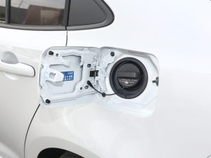 2022185T CVT\(yn)(dng) w