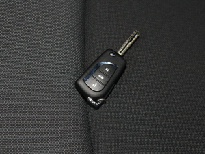 2022TNGA 1.5L CVTIȰ ܇耳