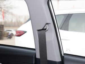 20221.5L CVTI(lng)PLUS g