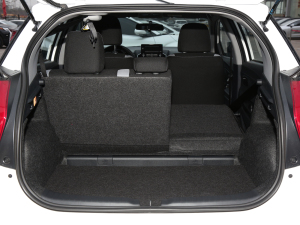 20221.5L CVTI(lng)PLUS g