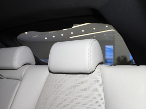 2022��X-MODE ���Pro ���g����