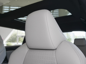 2022���L(zh��ng)�m(x��)��Pro ���g����