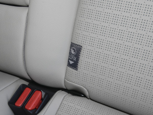 2022���L�m(x��)��Pro ���g����