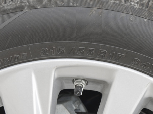 2022p 2.5HGVP IȰ ݆̥ߴ