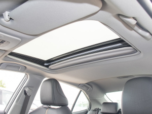 2022p 2.5HGVP IȰ 촰