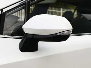 2023款2.0L 尊贵版 后视镜