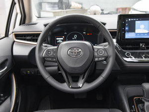 2023款2.0L 尊贵版 方向盘
