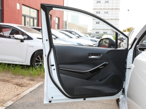 2023款双擎 2.0L 领先版 驾驶位车门