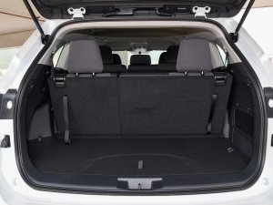 2023p 2.5L (q)Ӣ 7 g