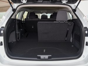 2023p 2.5L (q)Ӣ 7 g