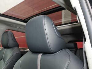 20232.5L늻p(q)Tʿ 7 g