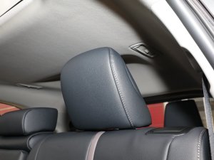 20232.5L늻p(q)Tʿ 7 g