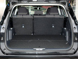 20232.5L늻p򌾫Ӣ 5 g