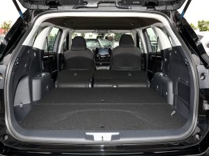 20232.5L늻p򌾫Ӣ 5 g