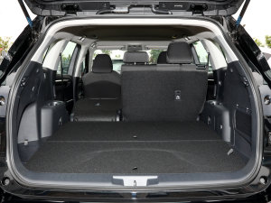 20232.5L늻p򌾫Ӣ 5 g