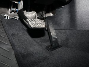 20232.5L늻p򌾫Ӣ 5 п؅^