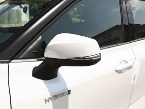 20232.5L늻p򌾫Ӣ 7 ҕR