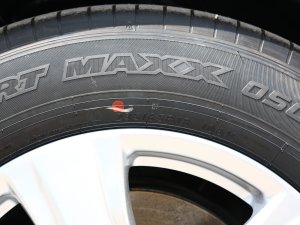 20232.5L늻p(q)Ӣ 7 ݆̥ߴ