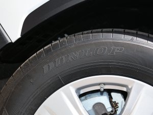 20232.5L늻p(q)Ӣ 7 ݆̥Ʒ