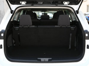 20232.5L늻p򌾫Ӣ 7 g