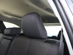 20232.5L늻p򌾫Ӣ 7 g