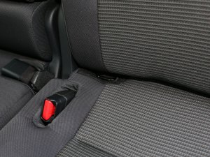 20232.5L늻p򌾫Ӣ 7 g