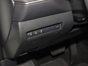 20232.5L늻p F п؅^