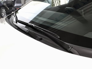 2023185T CVT\(yn)(dng) ˢ