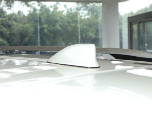 20242.5L(dng)  (x)(ji)^