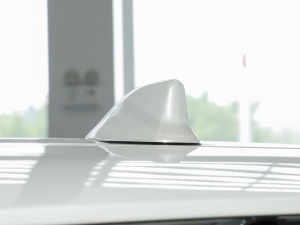 20242.5L(dng) (q)A (x)(ji)^