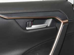 2024p 2.5L E-CVTAPLUS п؅^