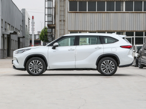 20242.5L늻p(q)A 7 w^